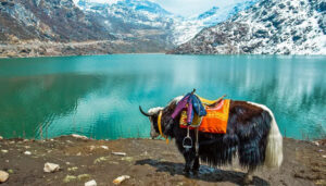 north-sikkim-group-tour-package